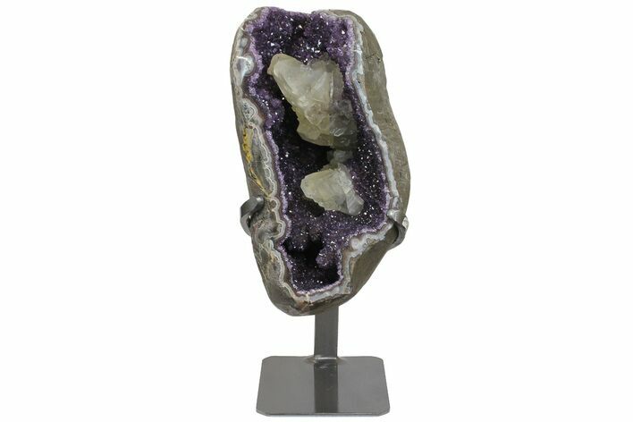 Amethyst Geode Section on Metal Stand - Deep Purple Crystals #171819